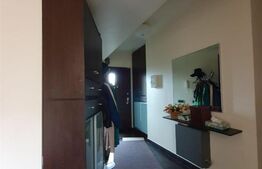 Vila 7 camere, 310 mp, zona Voluntari