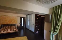 Vila 7 camere, 310 mp, zona Voluntari