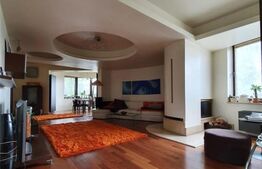 Vila 7 camere, 310 mp, zona Voluntari