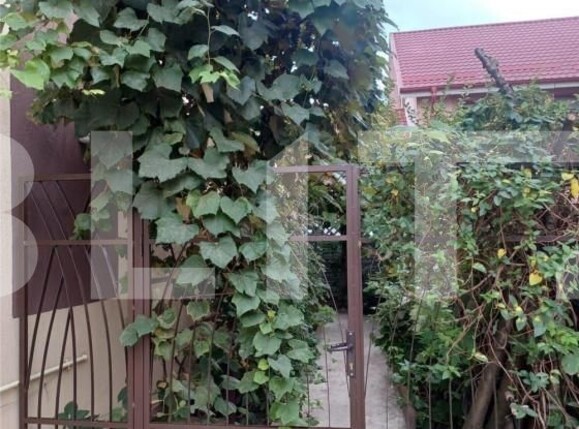 Casa de vânzare 5 camere Tunari - 152169CV | BLITZ București | Poza4