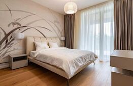 Apartament exclusivist cu 3 camere și terasă în zona Iancu Nicolae, București