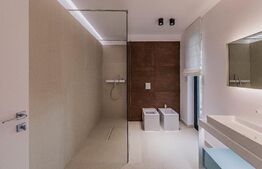 Vila Iancu Nicolae| Pipera