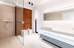 Vila Iancu Nicolae| Pipera