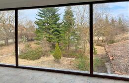 Vila | Domeniu 4000 mp| Snagov