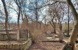 Vila | Domeniu 4000 mp| Snagov