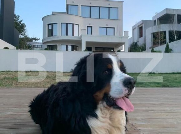 Casa de vânzare 8 camere Buftea - 153250CV | BLITZ București | Poza16