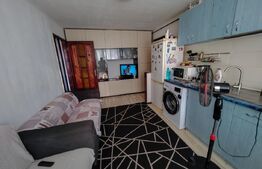 Apartament 3 camere Cetatea de Balta 