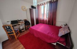 Apartament 3 camere Cetatea de Balta 