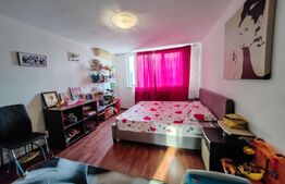 Apartament 3 camere Cetatea de Balta 