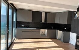 Vilă modernă cu 4 camere și 300 mp teren în Tunari, construcție 2024