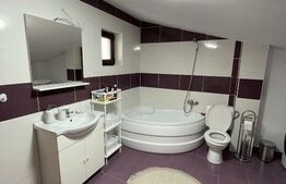 Apartament nou 2 camere - Mosilor