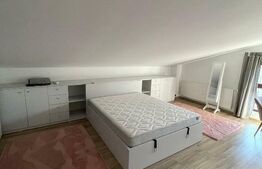 Apartament nou 2 camere - Mosilor