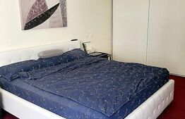 Apartament 3 camere Unirii - Timpuri Noi