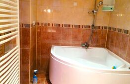 Vilă cu 4 nivele și 475 mp utili, teren de 300 mp, în zona Colentina, București