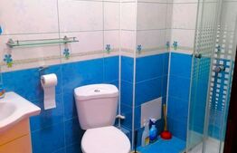 Vilă cu 4 nivele și 475 mp utili, teren de 300 mp, în zona Colentina, București