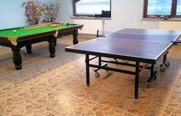 Vilă cu 4 nivele și 475 mp utili, teren de 300 mp, în zona Colentina, București