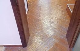 Vilă cu 4 nivele și 475 mp utili, teren de 300 mp, în zona Colentina, București