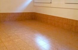 Vilă cu 4 nivele și 475 mp utili, teren de 300 mp, în zona Colentina, București