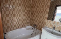 Vila 5 camere, 164 mp utili, 385 mp teren, Pantelimon 