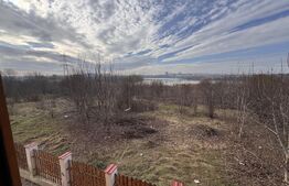 Vila 5 camere, 164 mp utili, 385 mp teren, Pantelimon 