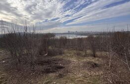 Vila 5 camere, 164 mp utili, 385 mp teren, Pantelimon 