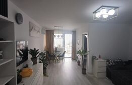 Studio modern 43mp, complexul Hils Pallady