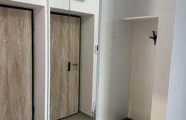 Studio modern 43mp, complexul Hils Pallady