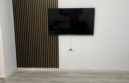 Studio modern 43mp, complexul Hils Pallady