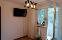 Decomandat, mobilat, utilat, zona parc Tei