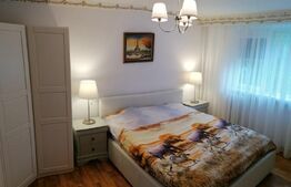 Decomandat, mobilat, utilat, zona parc Tei