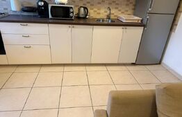 Apartament 2 camere baneasa/sisesti