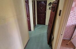 Apartament, 2 camere, Berceni