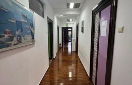 Vila de vanzare - Domenii