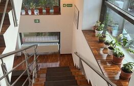 Vila de vanzare - Domenii