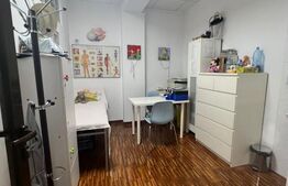 Vila de vanzare - Domenii