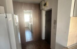 Apartament 3 camere pe Camil Ressu