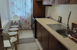 Apartament 3 camere, Dristor