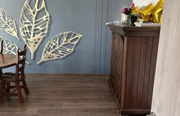 Apartament 4 camere decomandat, 102 mp, zona Doamna Ghica