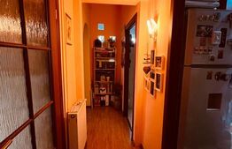 Apartament 4 Camere Polonă | 75 mp, Terasă Privată, Garaj, Vilă Clasică