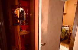 Apartament 4 Camere Polonă | 75 mp, Terasă Privată, Garaj, Vilă Clasică