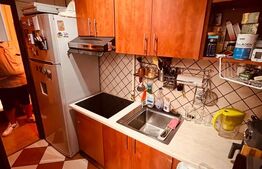 Apartament 4 Camere Polonă | 75 mp, Terasă Privată, Garaj, Vilă Clasică