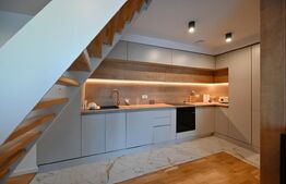 Loft de lux 2 nivele, Unirii