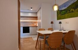 Loft de lux 2 nivele, Unirii