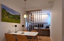 Loft de lux 2 nivele, Unirii