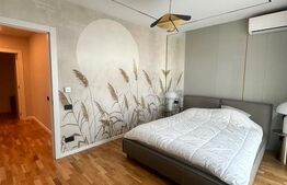 Penthouse 4 Camere lux, Zona Baneasa 