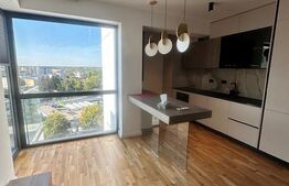 Penthouse 4 Camere lux, Zona Baneasa 