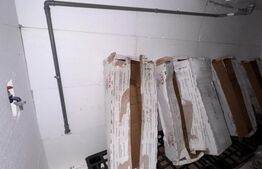 Casa 3 camere + camera frigorifică la subsol, Zona Gara de Nord