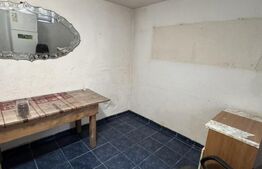 Casa 3 camere + camera frigorifică la subsol, Zona Gara de Nord