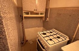 Casa 3 camere + camera frigorifică la subsol, Zona Gara de Nord