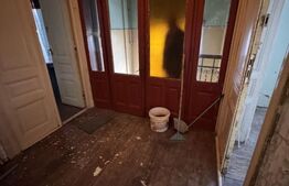 Casa 3 camere + camera frigorifică la subsol, Zona Gara de Nord